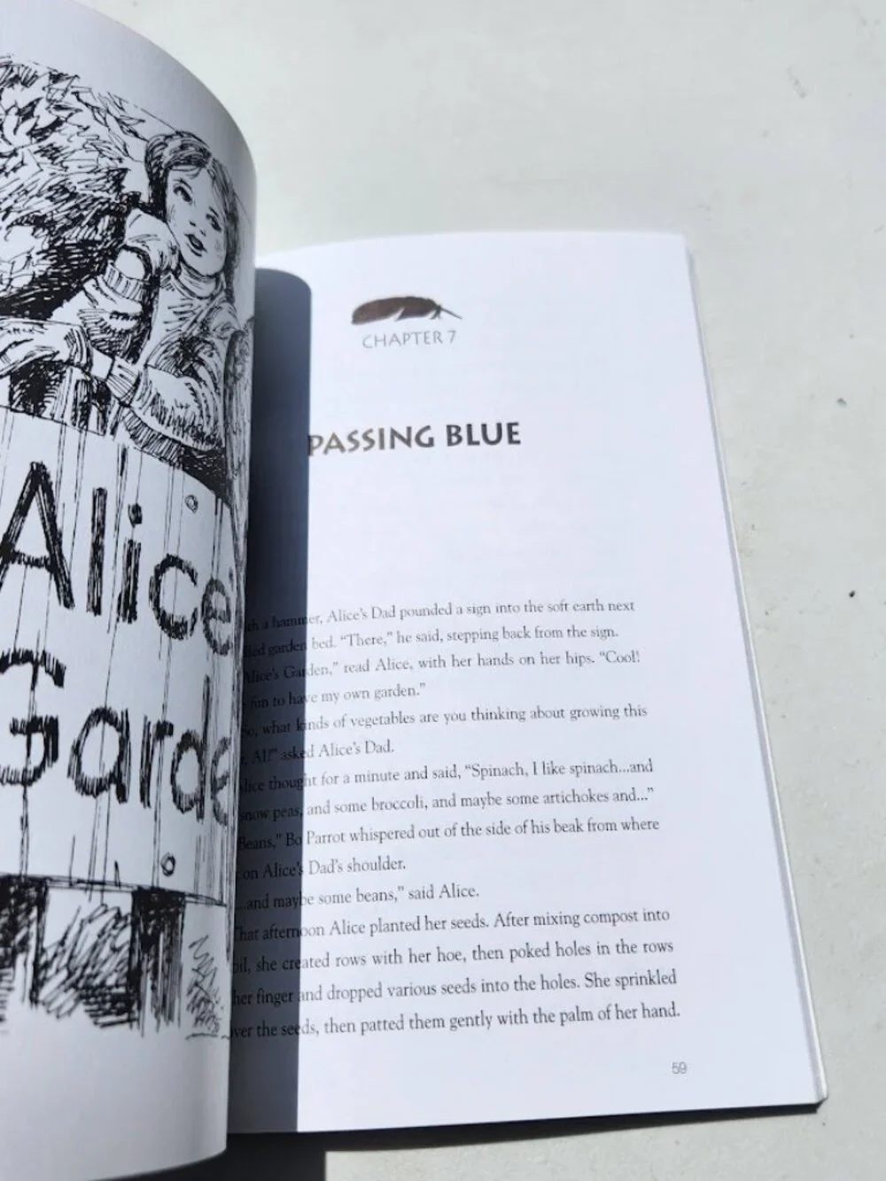 What the Parrot Told Alice Paperback Book by Dale Smith Young Adult Reading Mate